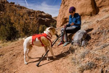 Ruffwear Web Master Harness Red Sumac Gr. XS